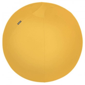 Balón de asiento Leitz Ergo Cosy Active